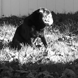 Meet your Posher, Leah